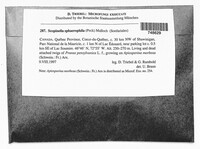 Image Associated With the Occurence